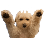 843182783