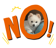 843182972