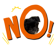 843183195