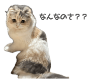 843183284