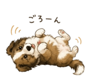 843184104