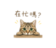 843184674