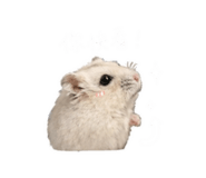 843184986
