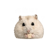 843184989