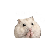 843184993