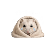 843184998