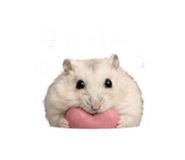 843184999