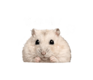 843185000