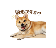 843185885