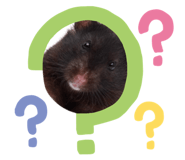 843185950