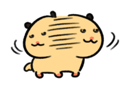 843185967
