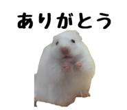 843187281
