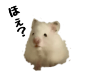 843187285