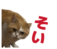 843187321