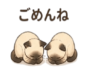 843188901