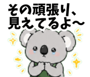 843190038