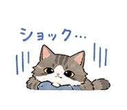 843190900