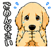 843191293