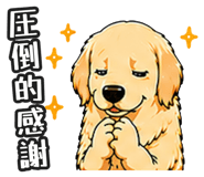 843191298