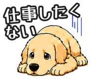 843191300