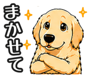 843191305