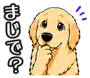 843191311