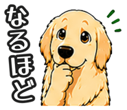 843191312