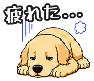 843191313
