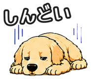 843191321
