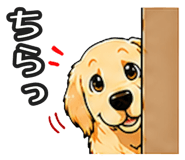 843191323