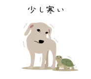 843191794