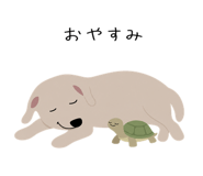 843191806