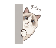 843193011
