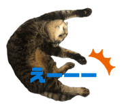 843193069