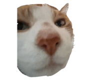843194310