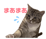 843194479