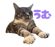 843194491