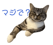 843194496