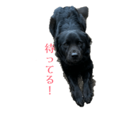 843195385