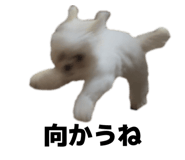 843195512