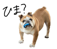 843196891