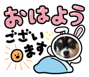 843197156