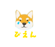 843197534