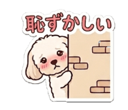 843197597