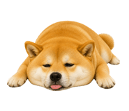 843198177