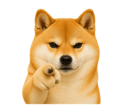 843198202