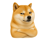 843198207