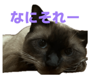 843199399