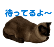 843199404