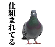 843199809